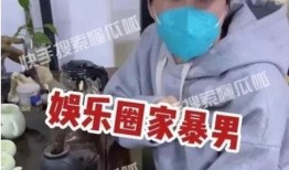 爆料娱乐圈家暴是谁,揭秘真相，揭开神秘面纱