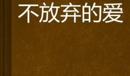 爱不放弃 在线观看,感人至深的情感之旅