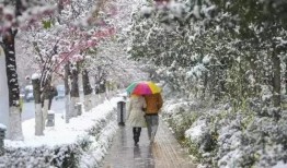 昆明爆料下雪视频