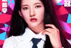 娱乐圈大爆料刘些宁是谁,揭秘刘些宁背后的惊人故事