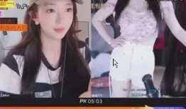 河南爆料主播名单最新视频,揭秘网络直播行业乱象