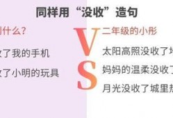 暑假最新爆料视频播放大全,精彩瞬间尽收眼底