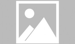 西安世博园爆料事件视频