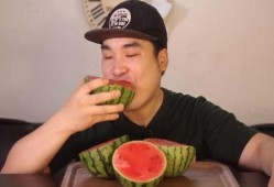 东北网红吃瓜事件,揭秘网络舆论背后的真相与争议