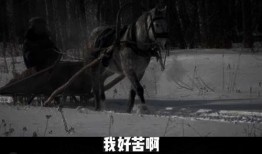 爆料故事怪谈视频,揭秘那些令人毛骨悚然的爆料故事视频