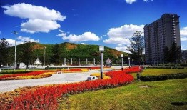 黑龙江都市爆料事件最新消息,真相大白，疑云散去