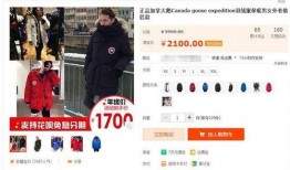 爆料大鹅解说视频网页版,网页版爆料视频深度解析