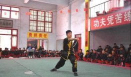 文武学校爆料视频大全集,爆料视频大全集深度解析