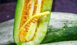 吃瓜网红最新,娱乐圈幕后真相大曝光！