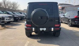 金兔特六肖最新爆料,揭秘生肖运势新动向