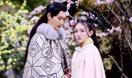 双世宠妃10集在线观看,穿越时空的爱恋再续前缘