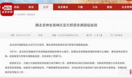 今日农村爆料新闻网最新,聚焦乡村振兴，探寻农业发展新路径