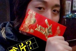 荣耀爆料张大仙视频播放,揭秘游戏新动态与精彩瞬间