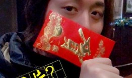 荣耀爆料张大仙视频播放,揭秘游戏新动态与精彩瞬间