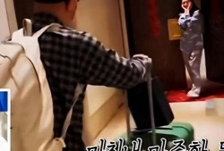 子豪爸爸爆料视频,家庭生活幕后真相