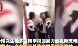 西湖爆料欺凌视频,校园暴力引发社会关注
