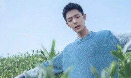 娱乐大爆料明星张若昀,娱乐大爆料中的璀璨星辉