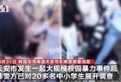 校园暴击爆料案例最新视频,悲剧重演，社会关注教育安全