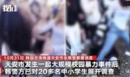 校园暴击爆料案例最新视频,悲剧重演，社会关注教育安全