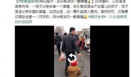 网友爆料草莓视频,网友爆料揭示网络短视频背后的秘密