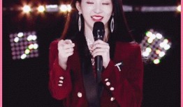 娱乐圈大爆料刘些宁是谁,揭秘刘些宁背后的惊人故事