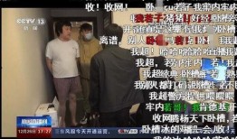 胡某宇天涯爆料最新视频,事件背后惊人真相曝光