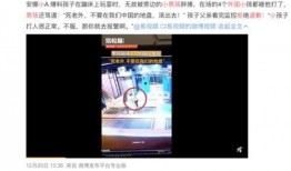 麻城网红爆料事件视频,揭秘背后真相与网络舆论风暴