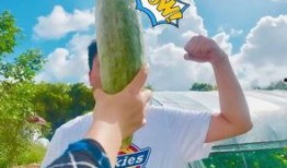 吃瓜网红最新,娱乐圈幕后真相大曝光！