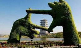 西安世博园爆料事件视频