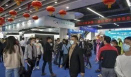 株洲五中爆料事件视频,揭秘校园内幕引发社会关注