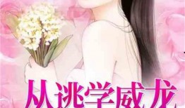 娱乐吃瓜配乐推荐小说,揭开娱乐圈的神秘面纱