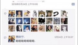 陆哥哥前女友爆料视频,揭秘昔日恋情内幕