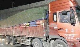 哈尔滨大货车爆料视频大全,街头巷尾的货车风云录