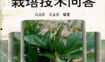 白术最新技能爆料图片,神秘力量觉醒，战力再升级！