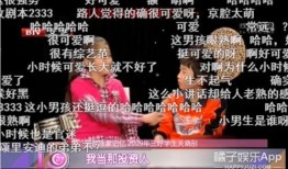 祥瑞被爆料家暴视频,真相与反思