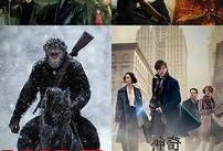 bt种子在线观看