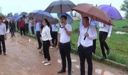 陆丰市内湖镇爆料新闻,村民爆料，详情待查