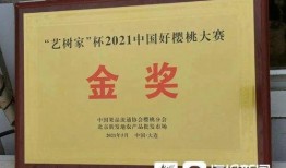 安丘大瓜爆料视频播放,真相与热议背后的故事