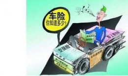 圈内爆料车险,车险背后的那些事儿