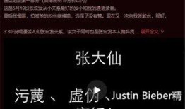 荣耀爆料张大仙视频播放,揭秘游戏新动态与精彩瞬间