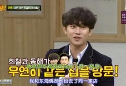 木森红豆最新爆料,揭秘娱乐圈不为人知的秘密