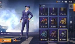 爆料和平精英最新服饰币