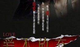 爱不放弃 在线观看,感人至深的情感之旅