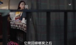 三姐爆料视频完整版下载,揭秘事件真相与幕后黑幕