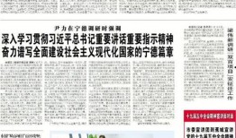 今日农村爆料新闻网最新,聚焦乡村振兴，探寻农业发展新路径