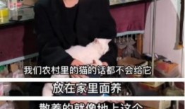 儿慈会爆料视频者澄清,儿慈会爆料视频发布者真实身份揭秘