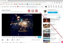 爆料娱乐圈教程视频下载,轻松学会热门下载技巧