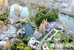 中山公园最新爆料信息,神秘古建筑群惊现，历史之谜待解