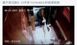 胡某宇天涯爆料最新视频,事件背后惊人真相曝光