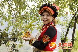 娱乐吃瓜酱彝族,彝族风情，揭秘民族魅力